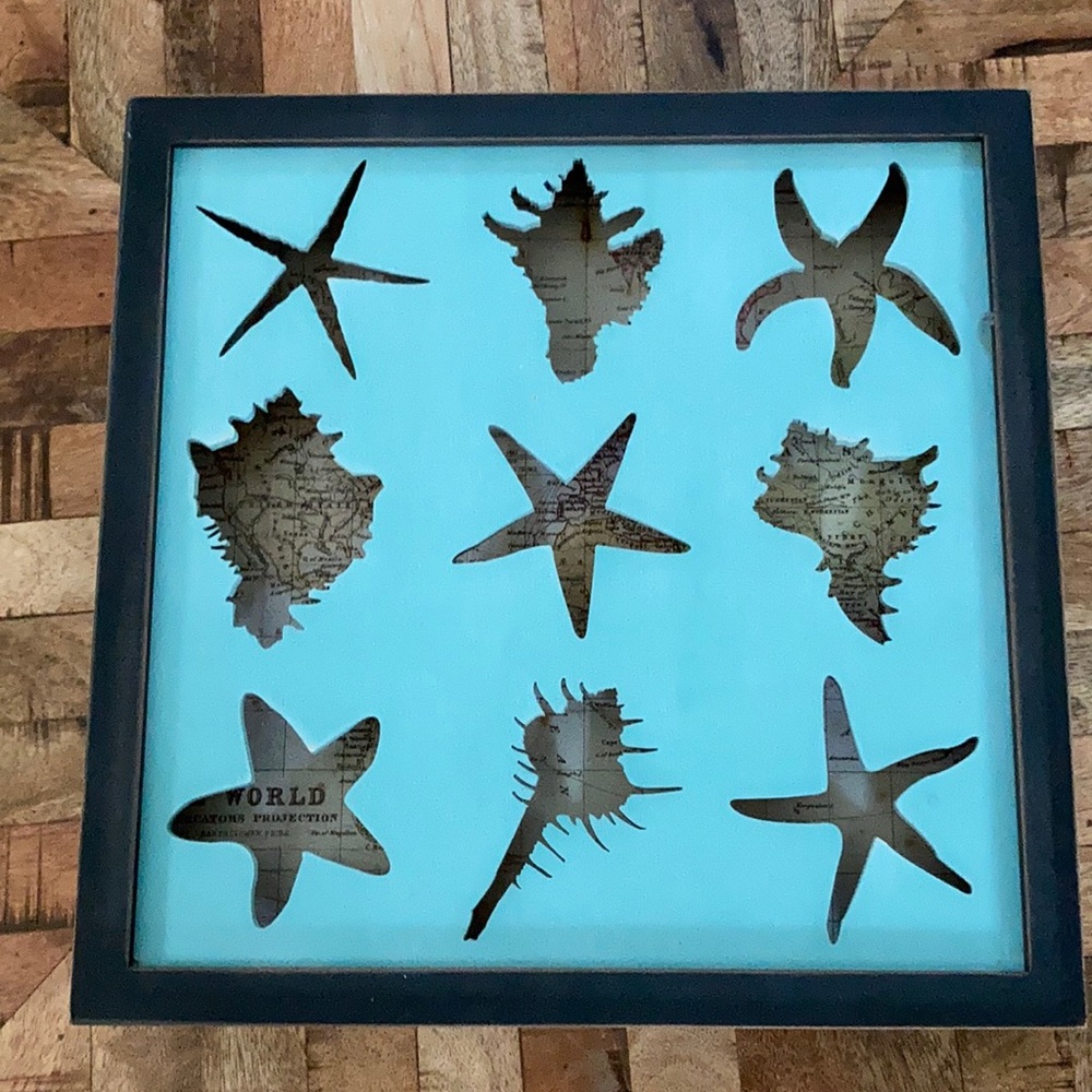 Seashell framed shadow box.  13” sq
